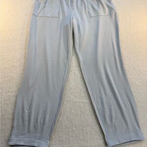 AnyBody Light Gray Track Pants